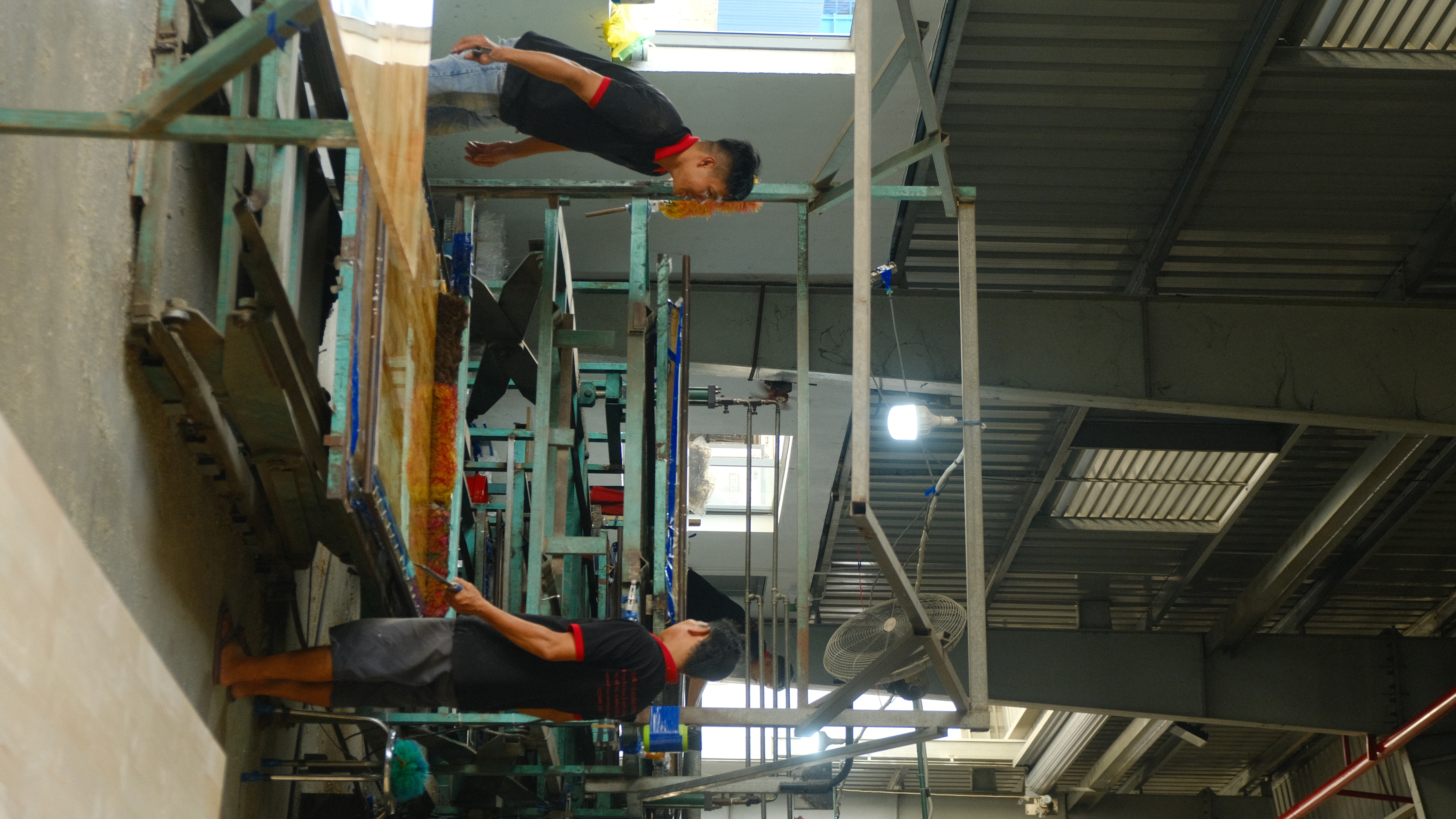 Cây phim bóng, mờ